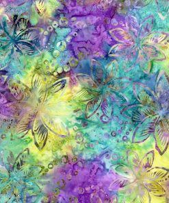 B8165 Dream - Tonga Hydrangea